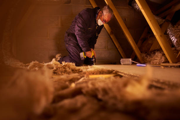 Best Insulation Installation Services in Montclair, CA